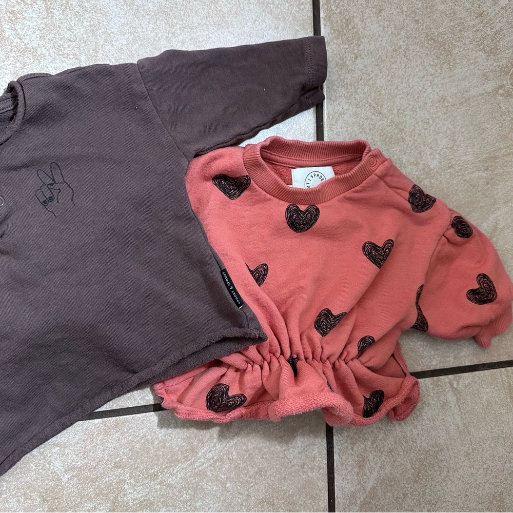 Organic cotton and BCI cotton Sweatshirt set of 2 size 6m pink and brown